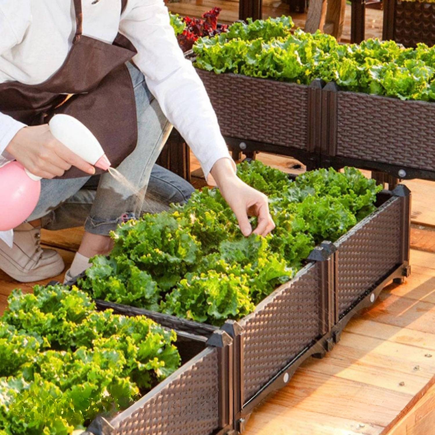 Someone tending lettuces in a raised garden bed at standing height