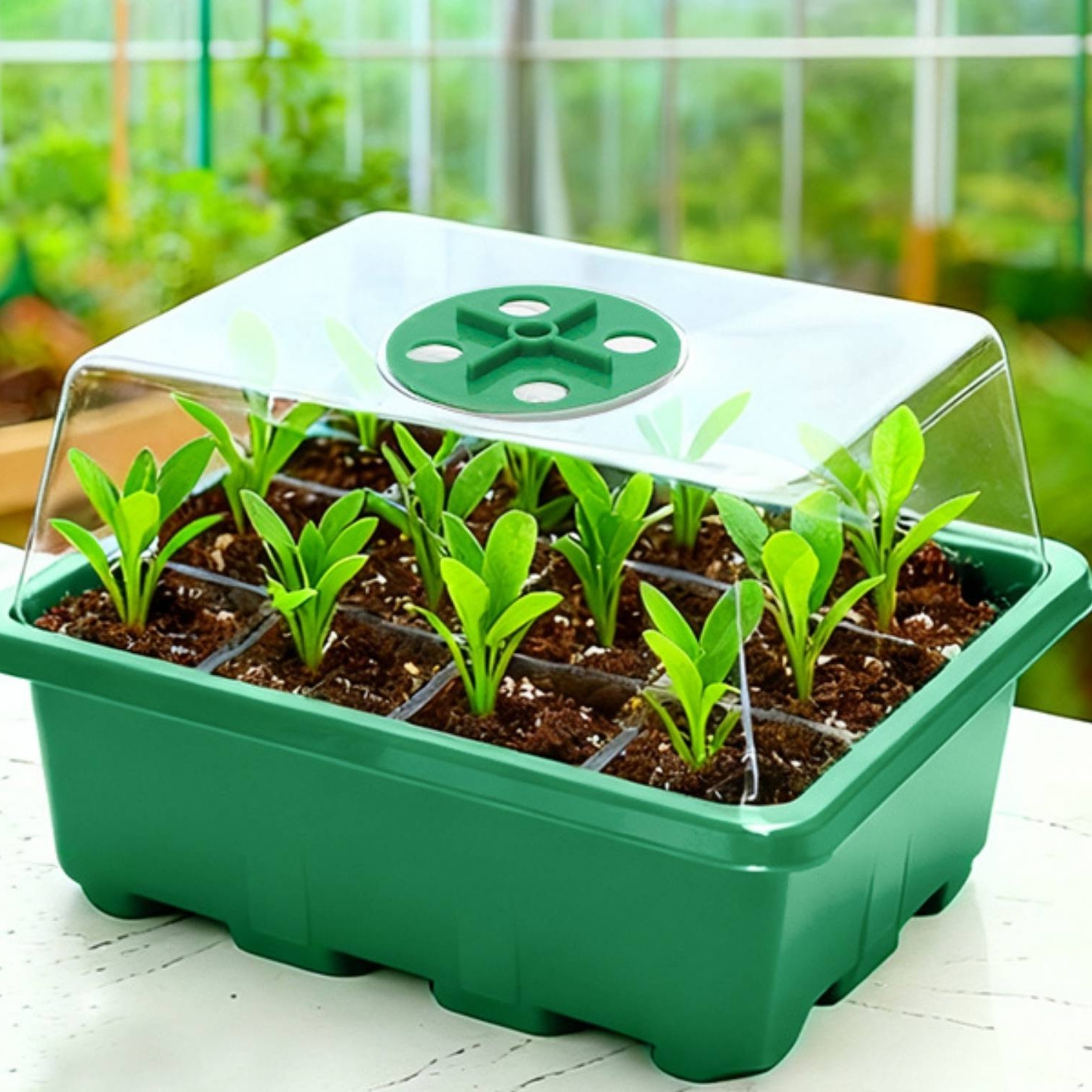 Self Watering Seedling Tray