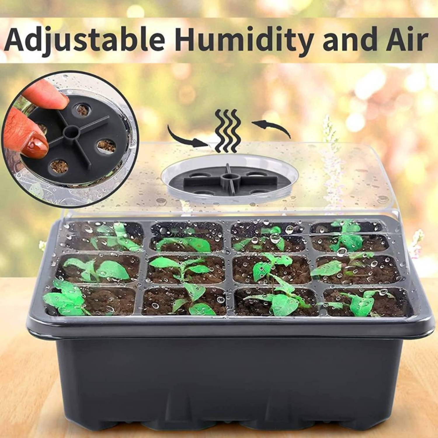 Self Watering Seedling Tray