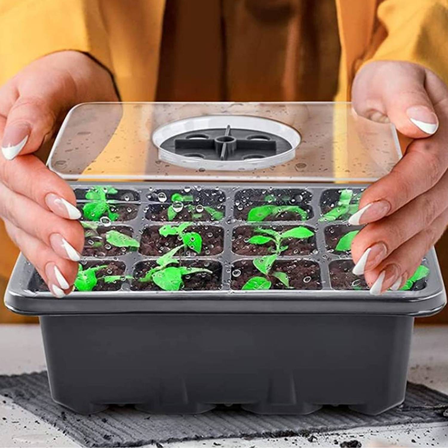 Self Watering Seedling Tray