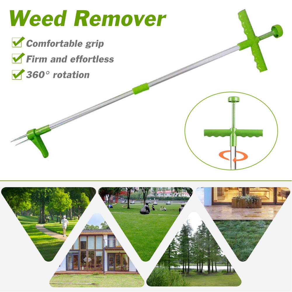 Stand Up Root Removal