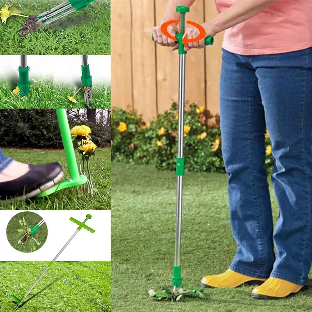 Stand Up Root Removal