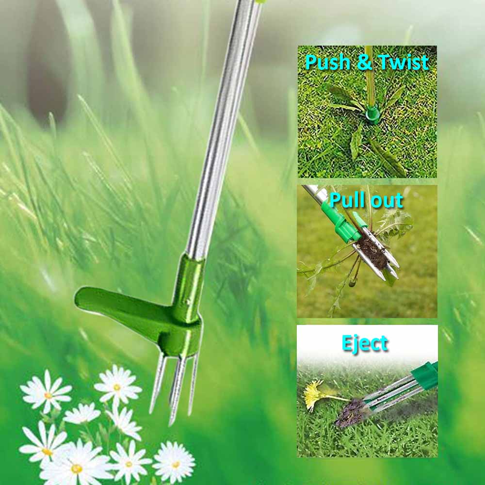 Stand Up Root Removal