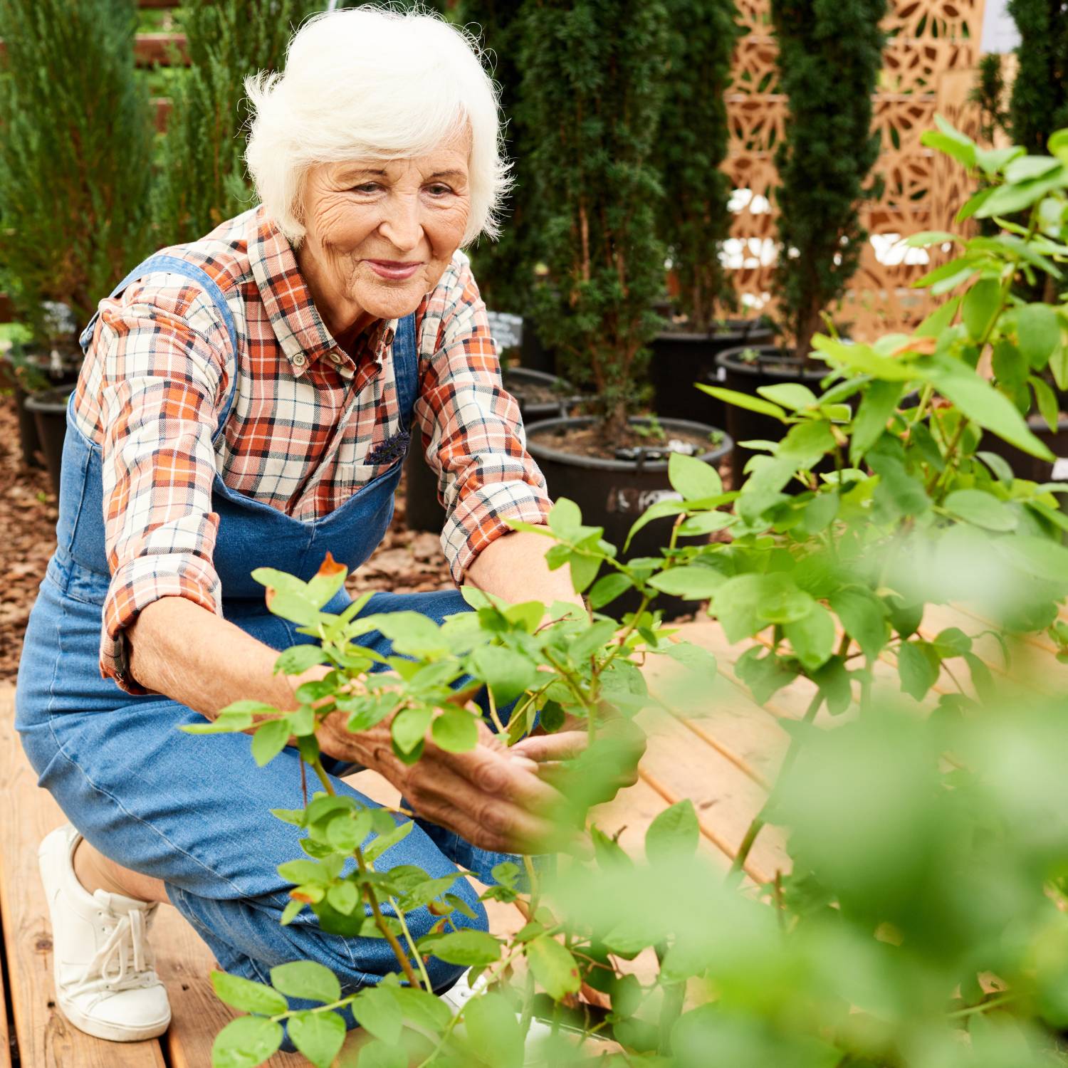 buy gardening tools for elderly
